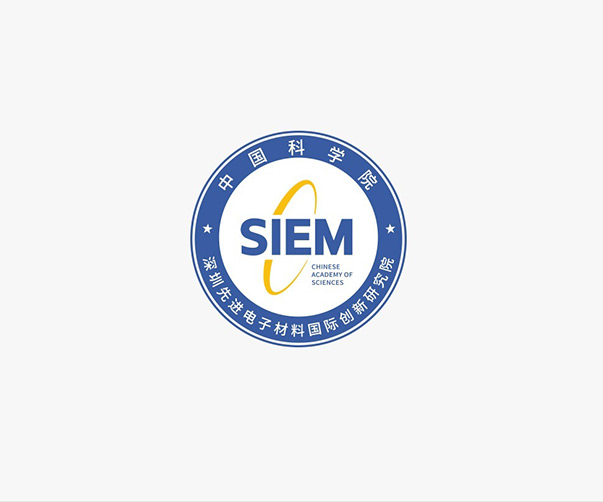跨境電商新勢力：解鎖年輕活力與國際化的品牌設計密碼