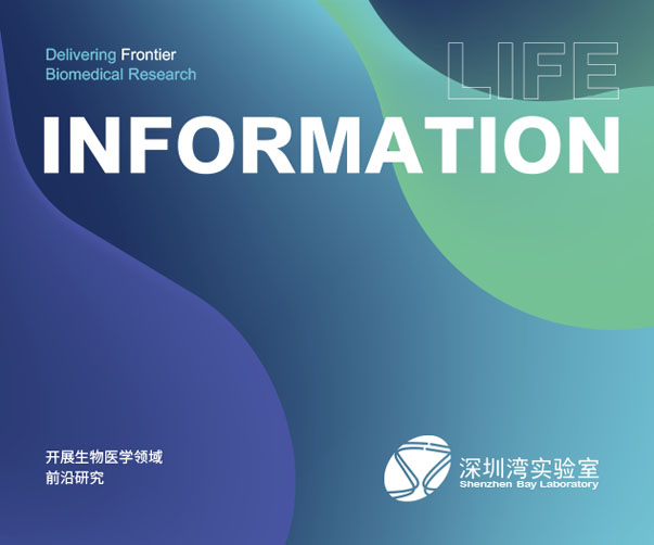 品牌VI設計：企業發展的隱形翅膀