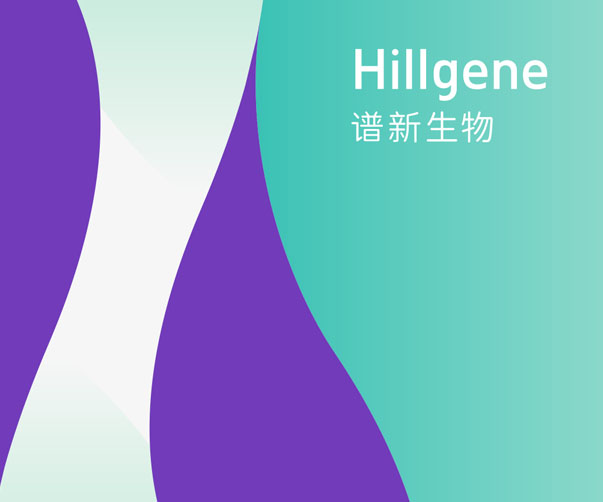 畫冊(cè)設(shè)計(jì)要素
